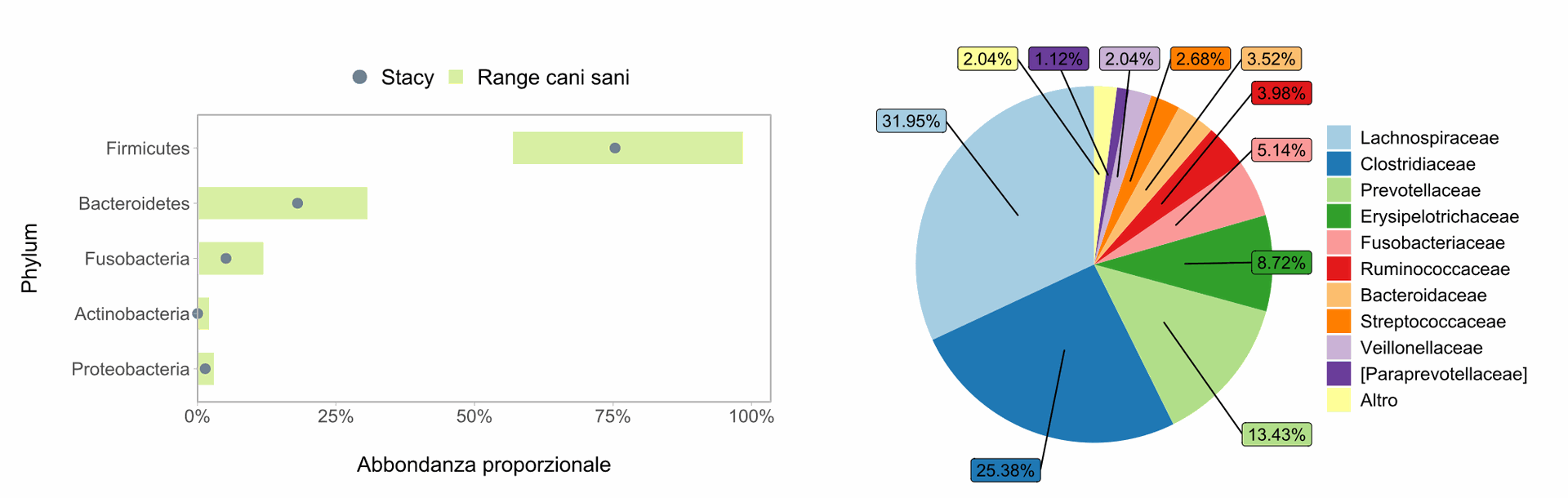 Profilo microbioma cane: phylum Profilo microbioma cane: phylum