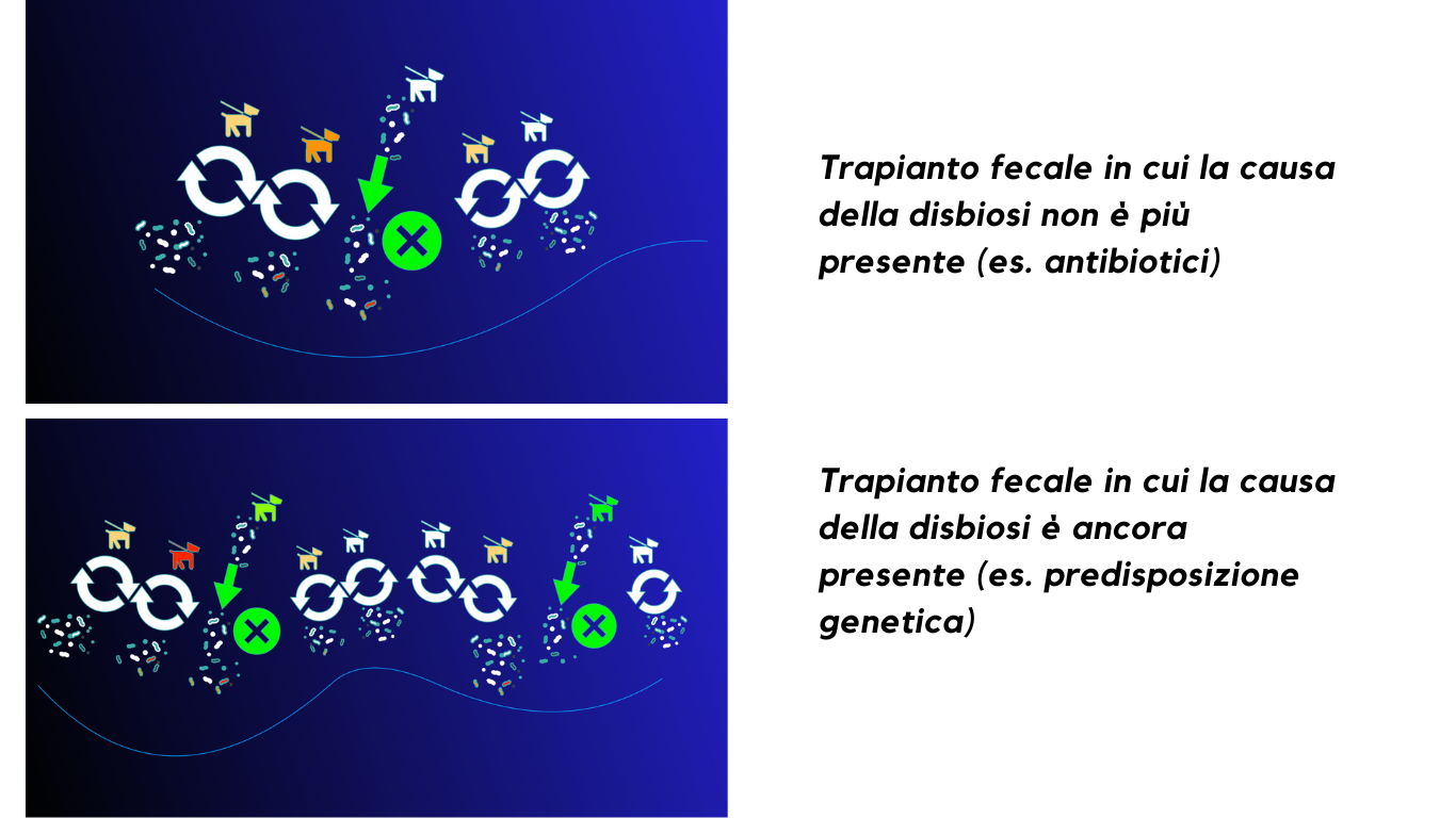 Disbiosi e FMT Disbiosi e FMT